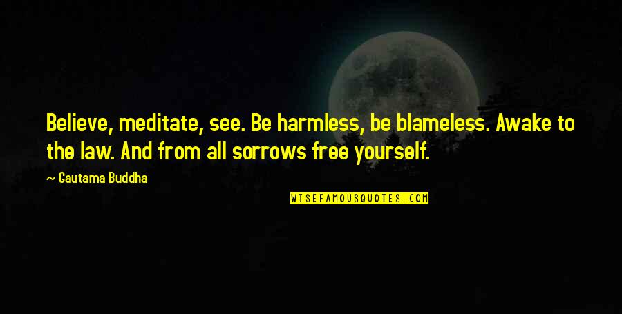 Blameless Quotes By Gautama Buddha: Believe, meditate, see. Be harmless, be blameless. Awake