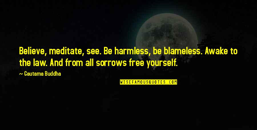 Blameless Quotes By Gautama Buddha: Believe, meditate, see. Be harmless, be blameless. Awake Blameless Quotes By Gautama Buddha: Believe, meditate, see. Be harmless, be blameless. Awake