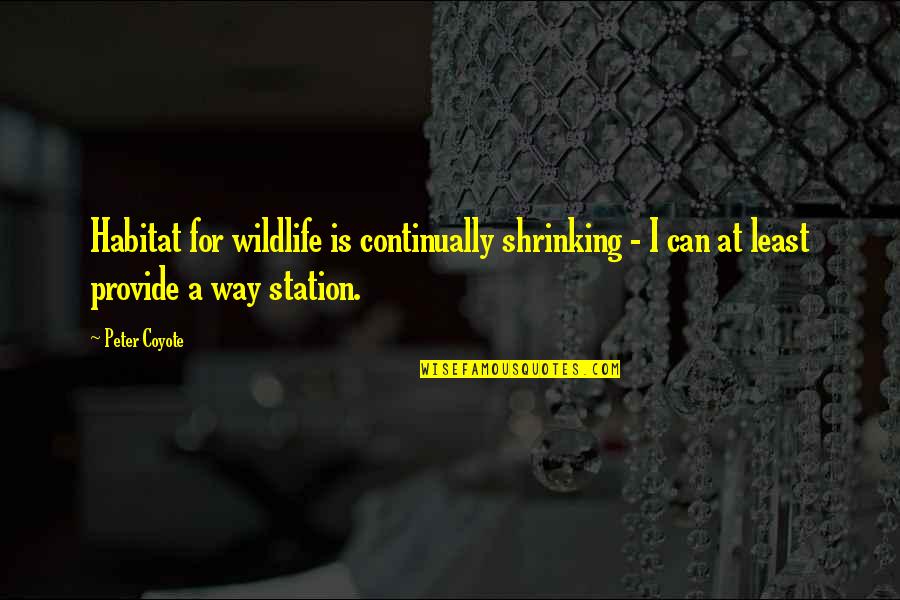 Blanche Moth Quote Quotes By Peter Coyote: Habitat for wildlife is continually shrinking - I Blanche Moth Quote Quotes By Peter Coyote: Habitat for wildlife is continually shrinking - I