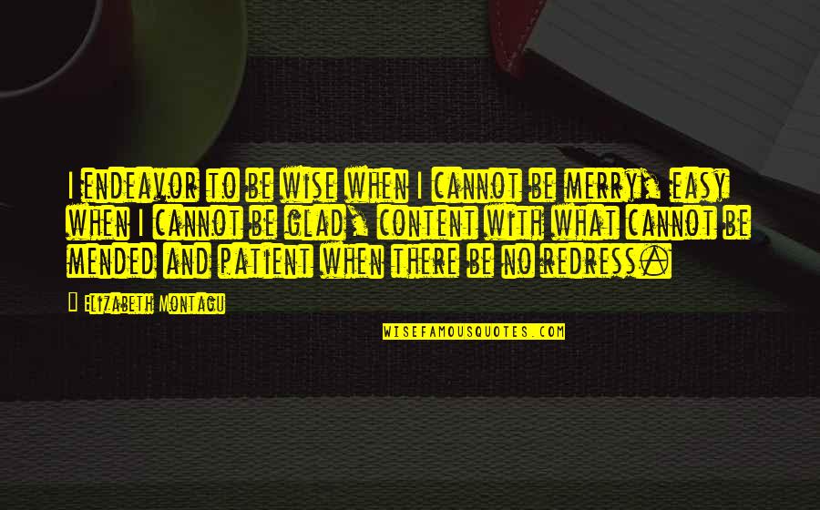Blandex Quotes By Elizabeth Montagu: I endeavor to be wise when I cannot Blandex Quotes By Elizabeth Montagu: I endeavor to be wise when I cannot