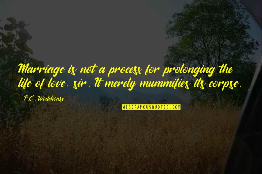 Blandness Quotes By P.G. Wodehouse: Marriage is not a process for prolonging the