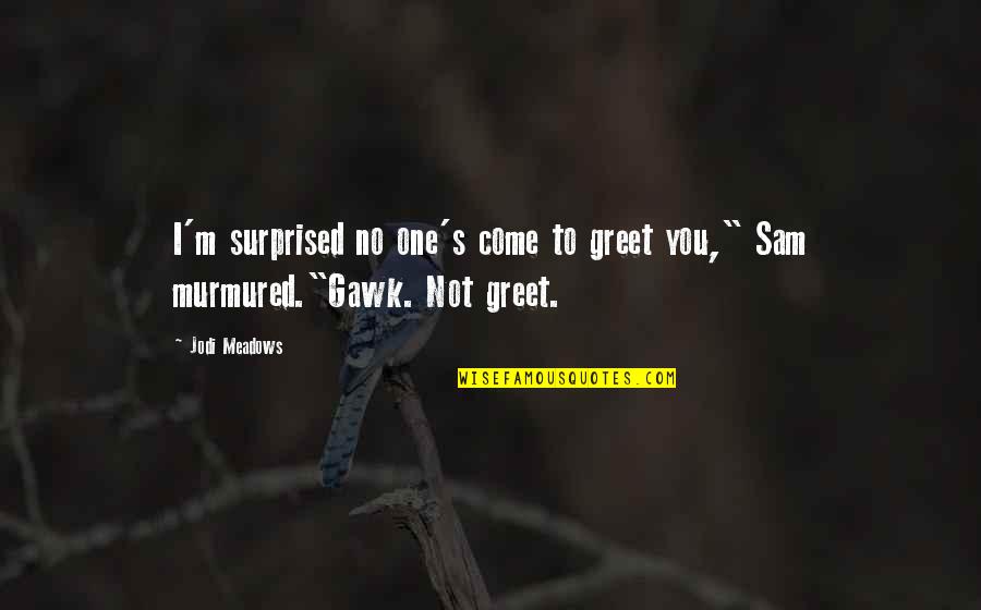 Blandowski Quotes By Jodi Meadows: I'm surprised no one's come to greet you,"