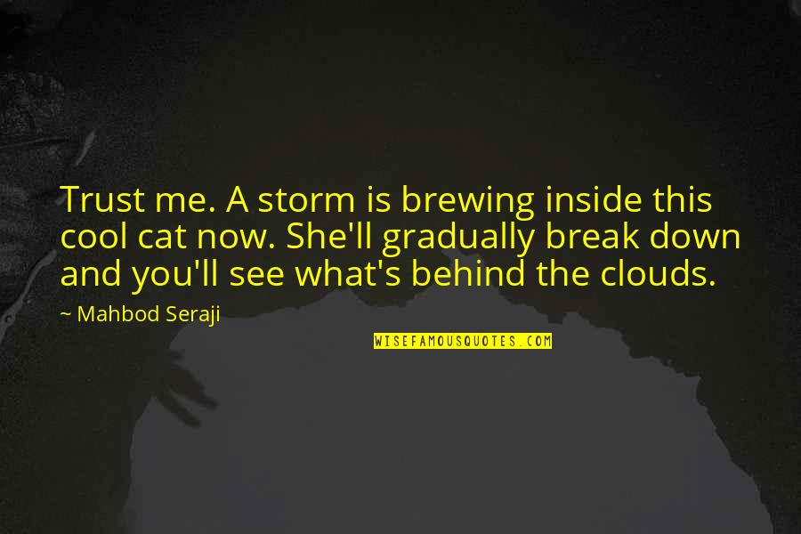 Blank Card Quotes By Mahbod Seraji: Trust me. A storm is brewing inside this