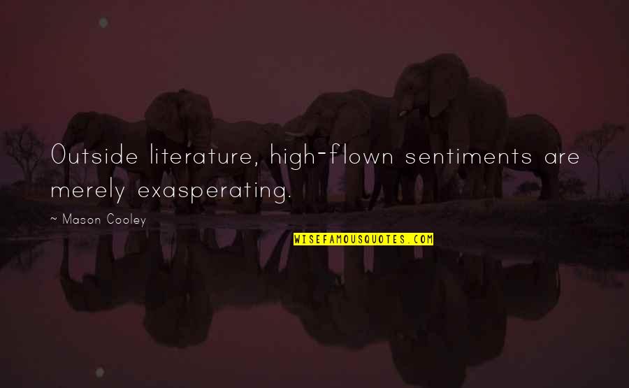 Blankets By Craig Thompson Quotes By Mason Cooley: Outside literature, high-flown sentiments are merely exasperating.
