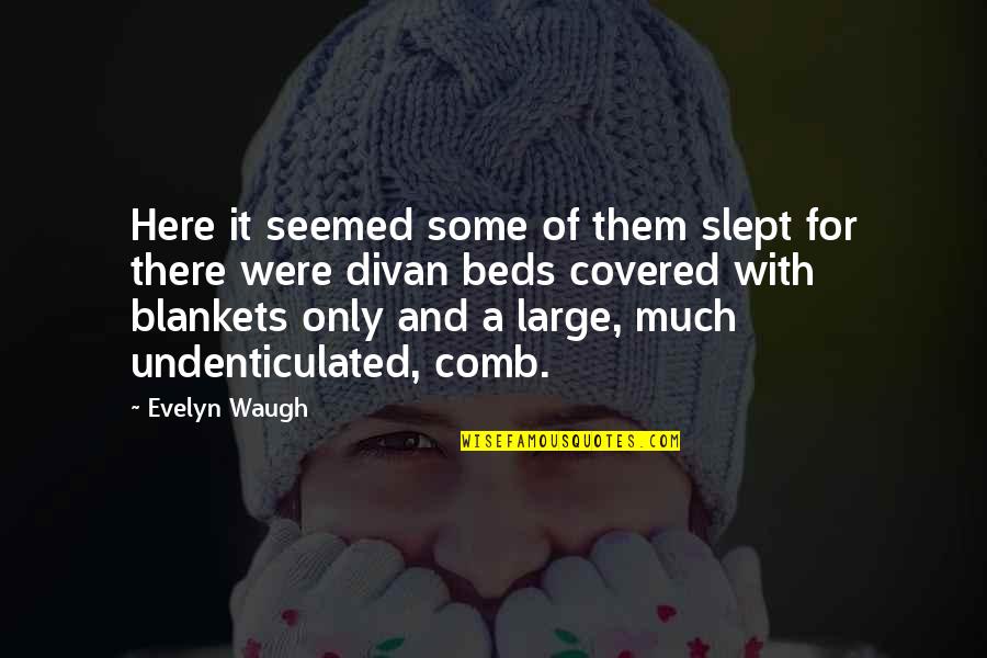 Blankets Quotes By Evelyn Waugh: Here it seemed some of them slept for Blankets Quotes By Evelyn Waugh: Here it seemed some of them slept for