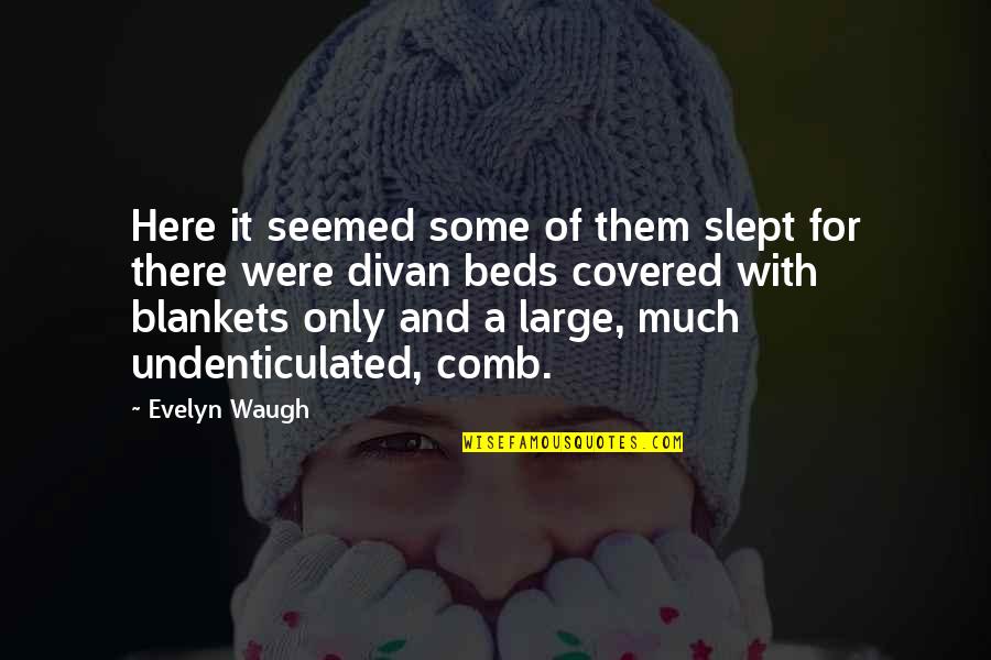 Blankets Quotes By Evelyn Waugh: Here it seemed some of them slept for