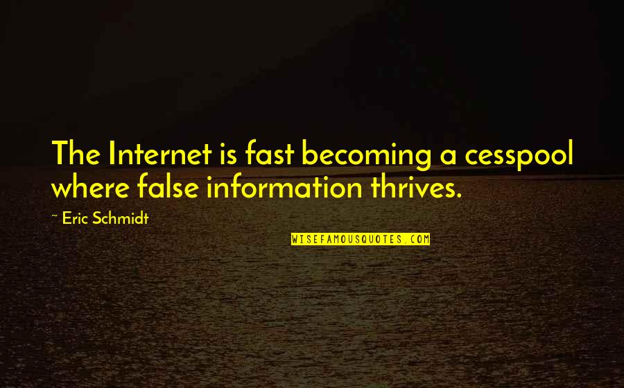 Blanky Quotes By Eric Schmidt: The Internet is fast becoming a cesspool where