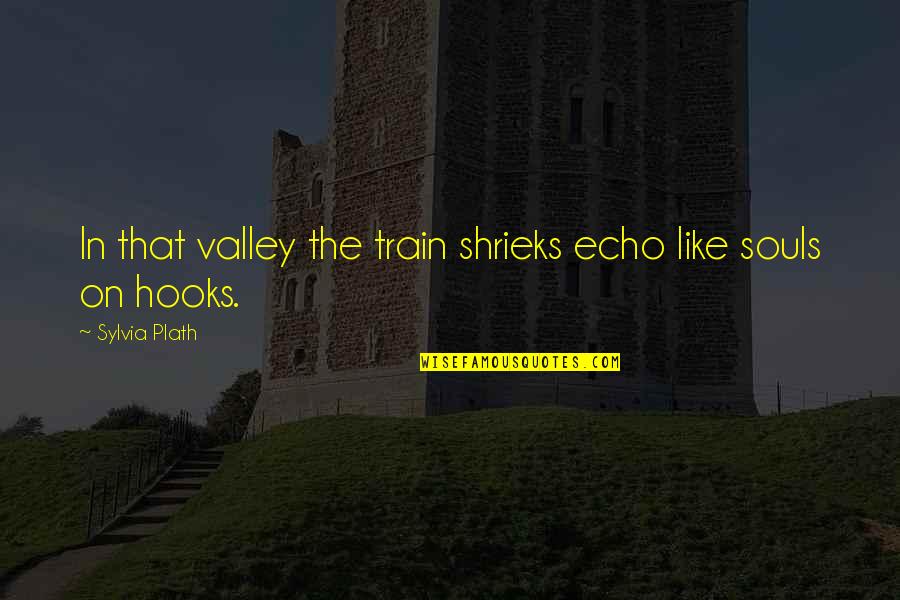 Blasio Lunar Quotes By Sylvia Plath: In that valley the train shrieks echo like Blasio Lunar Quotes By Sylvia Plath: In that valley the train shrieks echo like