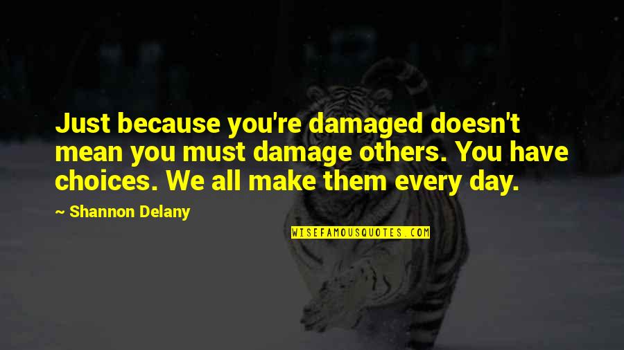 Blasius Quotes By Shannon Delany: Just because you're damaged doesn't mean you must