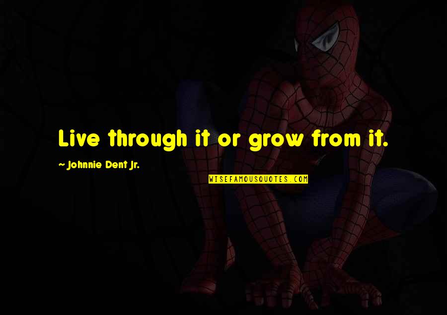 Blaspheme Quotes By Johnnie Dent Jr.: Live through it or grow from it.