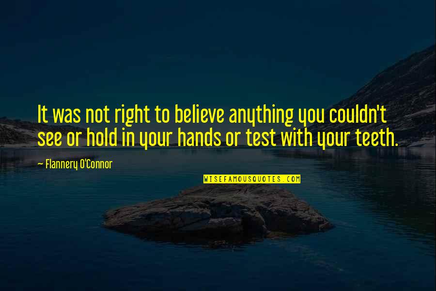 Blasterball Quotes By Flannery O'Connor: It was not right to believe anything you Blasterball Quotes By Flannery O'Connor: It was not right to believe anything you