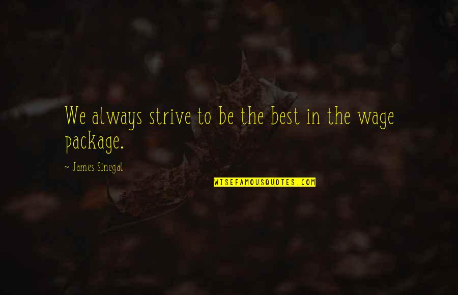 Blasterzonehd Quotes By James Sinegal: We always strive to be the best in Blasterzonehd Quotes By James Sinegal: We always strive to be the best in
