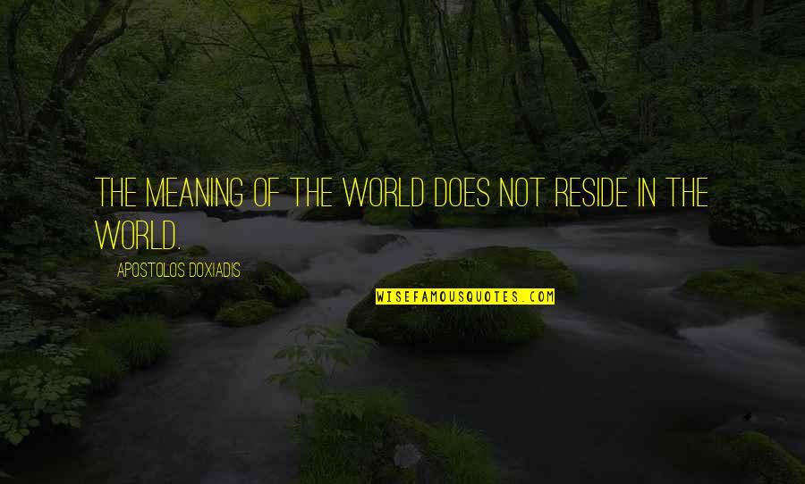 Blaustein Furs Quotes By Apostolos Doxiadis: The meaning of the world does not reside Blaustein Furs Quotes By Apostolos Doxiadis: The meaning of the world does not reside