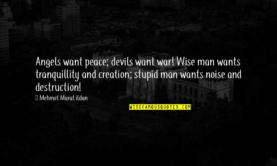 Blayne's Quotes By Mehmet Murat Ildan: Angels want peace; devils want war! Wise man