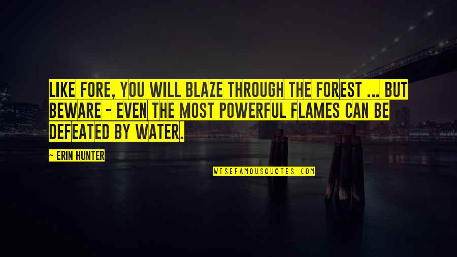 Blaze's Quotes By Erin Hunter: Like fore, you will blaze through the forest