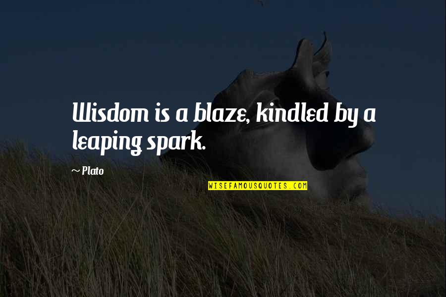 Blaze's Quotes By Plato: Wisdom is a blaze, kindled by a leaping