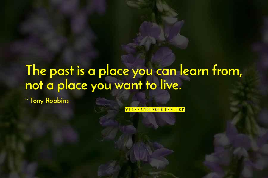 Blazing Saddle Quotes By Tony Robbins: The past is a place you can learn