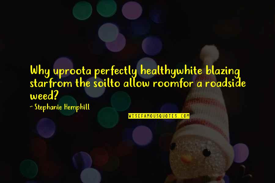 Blazing Weed Quotes By Stephanie Hemphill: Why uproota perfectly healthywhite blazing starfrom the soilto