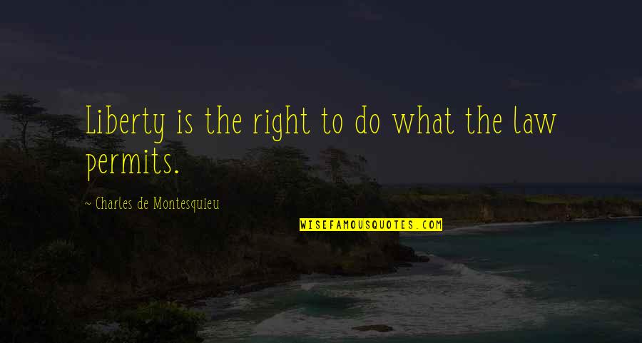 Bleach Hollow Quotes By Charles De Montesquieu: Liberty is the right to do what the