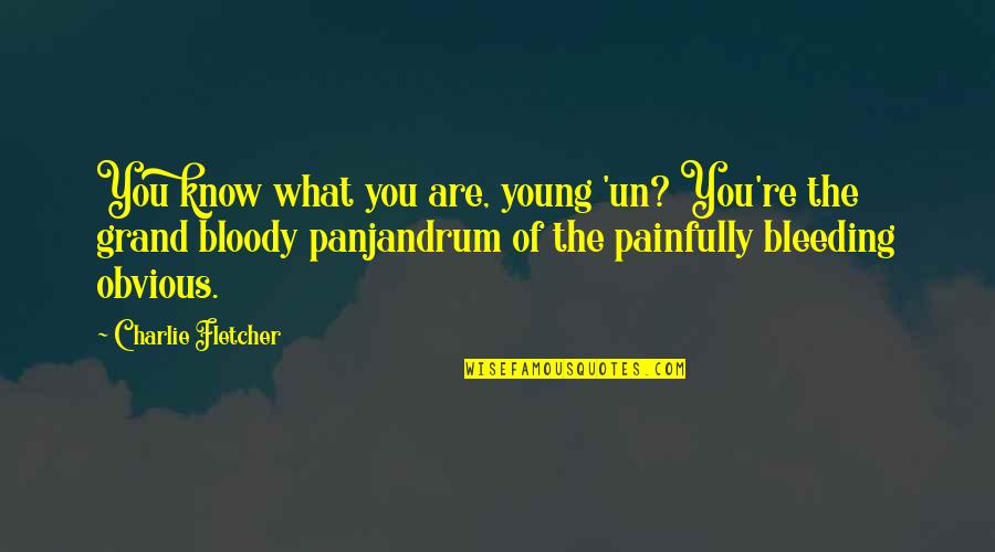 Bleeding Quotes By Charlie Fletcher: You know what you are, young 'un? You're