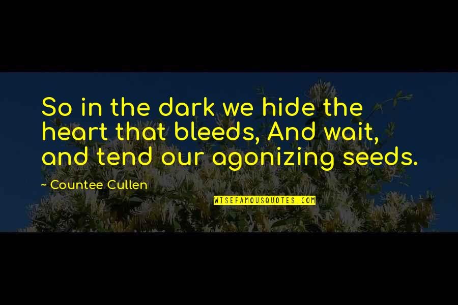 Bleeds Quotes By Countee Cullen: So in the dark we hide the heart