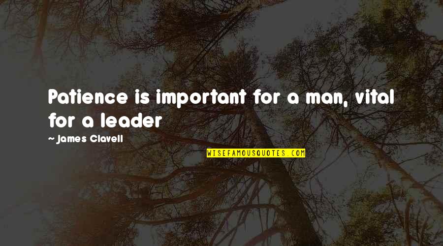 Blehen Quotes By James Clavell: Patience is important for a man, vital for Blehen Quotes By James Clavell: Patience is important for a man, vital for