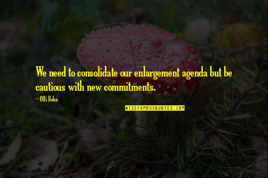 Blencathra Field Quotes By Olli Rehn: We need to consolidate our enlargement agenda but
