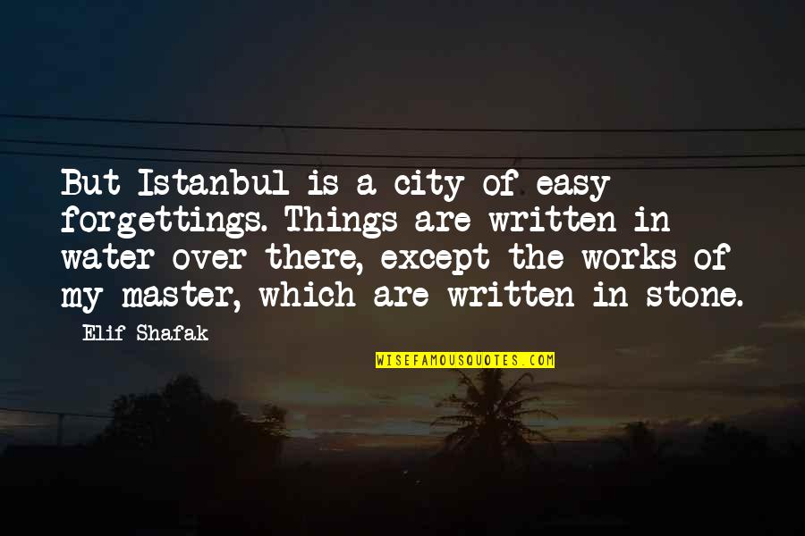 Blend With Nature Quotes By Elif Shafak: But Istanbul is a city of easy forgettings.