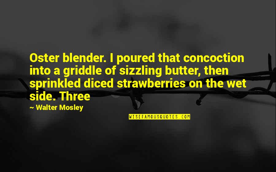 Blender Quotes By Walter Mosley: Oster blender. I poured that concoction into a