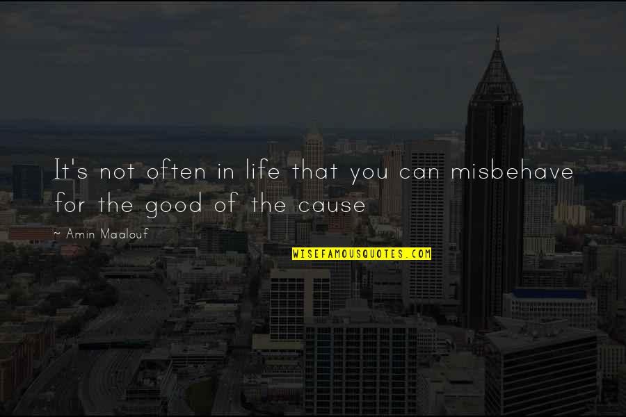 Blenders For Smoothies Quotes By Amin Maalouf: It's not often in life that you can