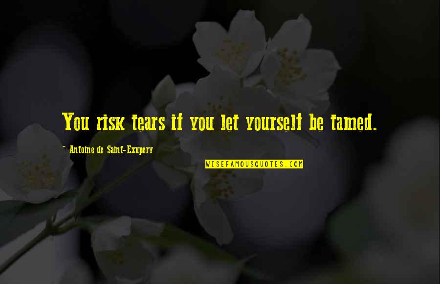 Blesave Mace Quotes By Antoine De Saint-Exupery: You risk tears if you let yourself be Blesave Mace Quotes By Antoine De Saint-Exupery: You risk tears if you let yourself be