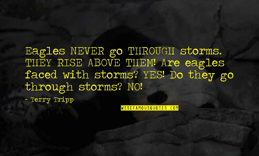 Bless This House Quotes By Terry Tripp: Eagles NEVER go THROUGH storms. THEY RISE ABOVE
