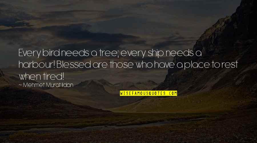 Blessed Are Those Quotes By Mehmet Murat Ildan: Every bird needs a tree; every ship needs