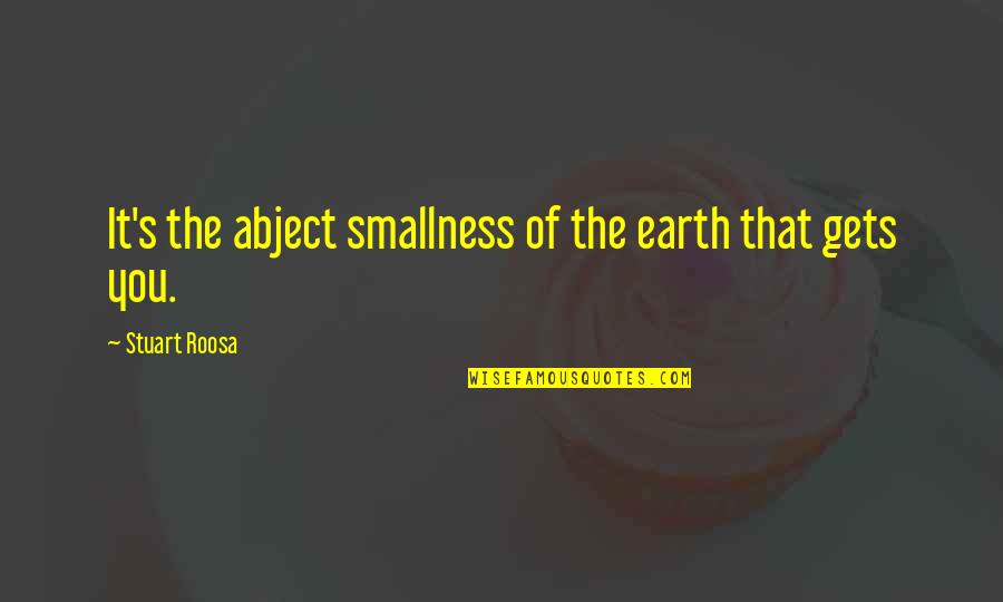 Blessed Sunday Quotes By Stuart Roosa: It's the abject smallness of the earth that