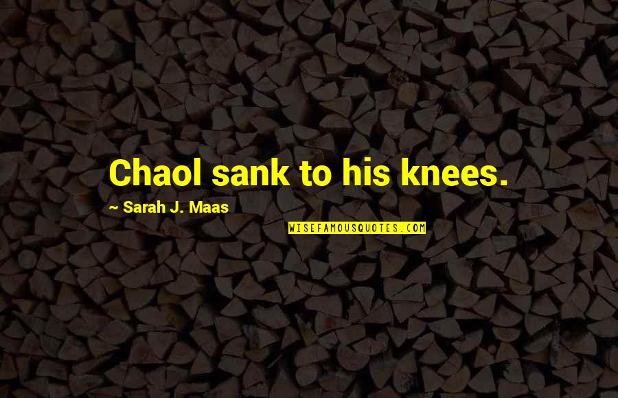 Blessed To Live Another Day Quotes By Sarah J. Maas: Chaol sank to his knees.