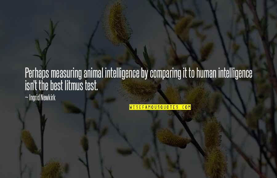 Blessed With Someone Special Quotes By Ingrid Newkirk: Perhaps measuring animal intelligence by comparing it to