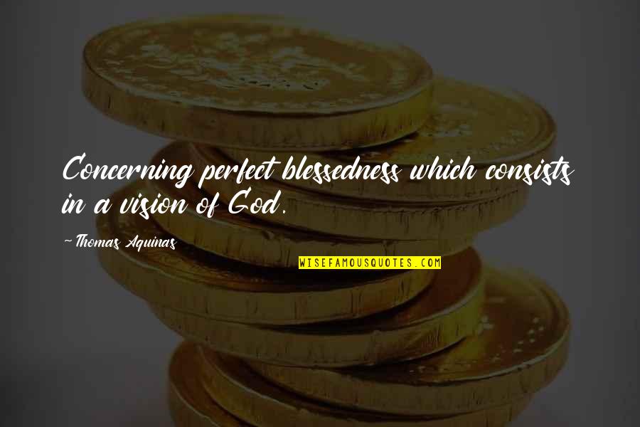 Blessedness Quotes By Thomas Aquinas: Concerning perfect blessedness which consists in a vision