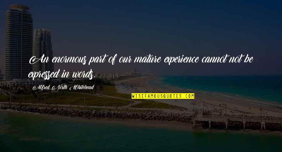 Blesseth Quotes By Alfred North Whitehead: An enormous part of our mature experience cannot Blesseth Quotes By Alfred North Whitehead: An enormous part of our mature experience cannot