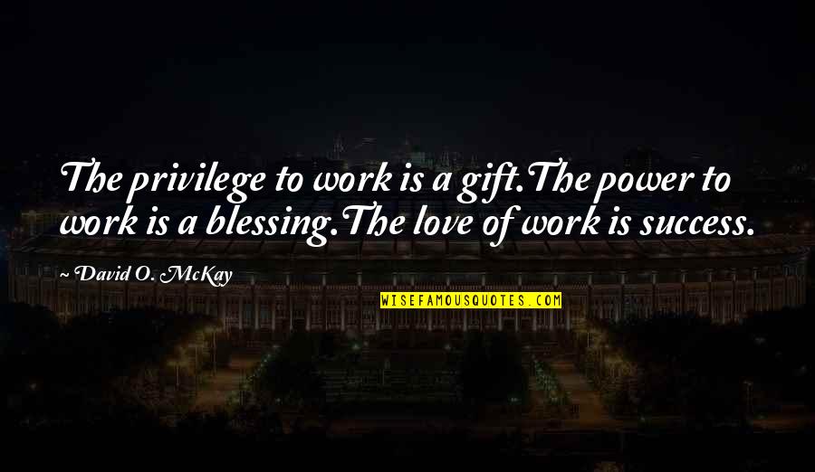 Blessing And Success Quotes By David O. McKay: The privilege to work is a gift.The power