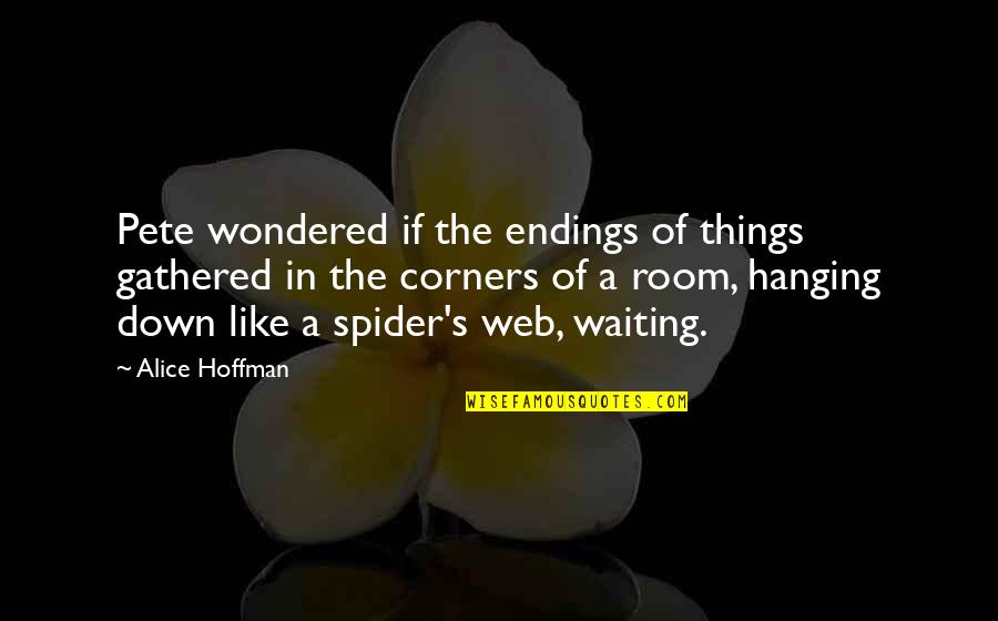 Blessing On Top Of Blessings Quotes By Alice Hoffman: Pete wondered if the endings of things gathered