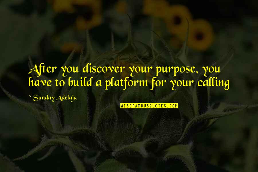 Blessing To Have You In My Life Quotes By Sunday Adelaja: After you discover your purpose, you have to