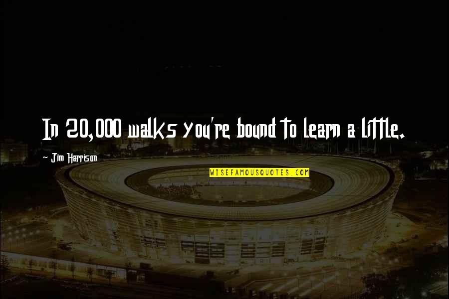 Blessings Friends Quotes By Jim Harrison: In 20,000 walks you're bound to learn a Blessings Friends Quotes By Jim Harrison: In 20,000 walks you're bound to learn a