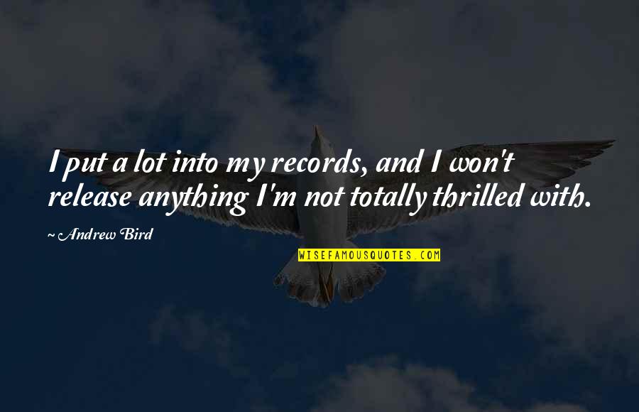 Blessmann Quotes By Andrew Bird: I put a lot into my records, and Blessmann Quotes By Andrew Bird: I put a lot into my records, and