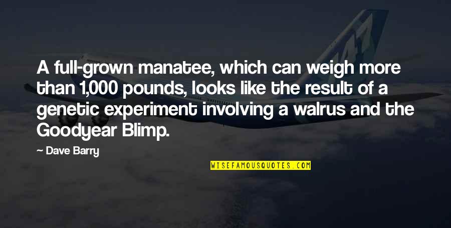 Blimp Quotes By Dave Barry: A full-grown manatee, which can weigh more than