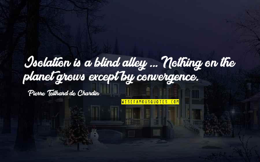 Blind Alley Quotes By Pierre Teilhard De Chardin: Isolation is a blind alley ... Nothing on