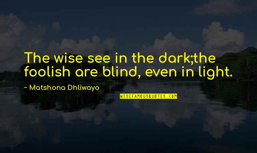 Blind But Now I See Quotes By Matshona Dhliwayo: The wise see in the dark;the foolish are
