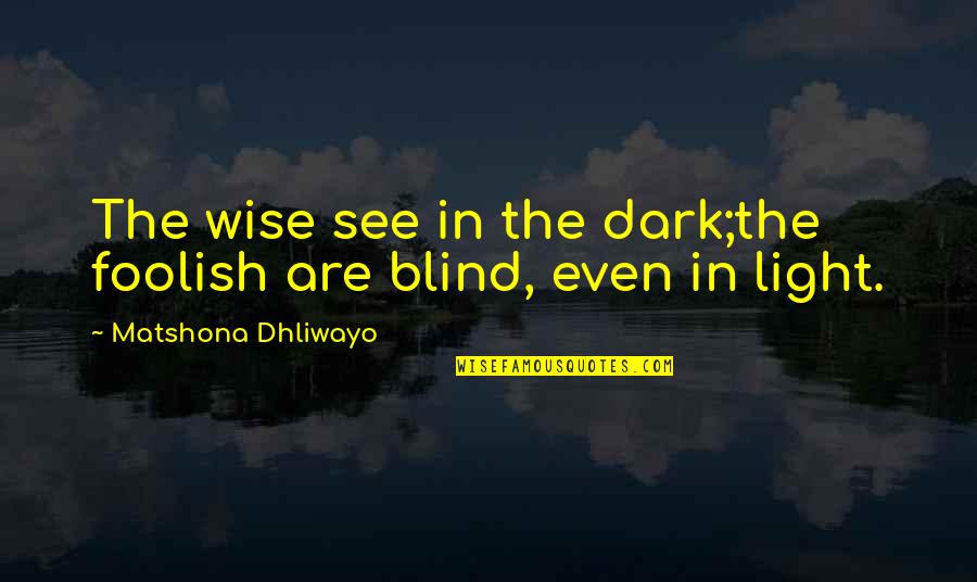 Blind Person Quotes By Matshona Dhliwayo: The wise see in the dark;the foolish are