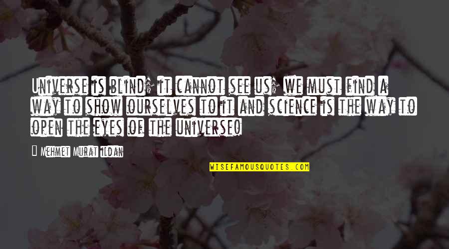 Blind To See Quotes By Mehmet Murat Ildan: Universe is blind; it cannot see us; we Blind To See Quotes By Mehmet Murat Ildan: Universe is blind; it cannot see us; we