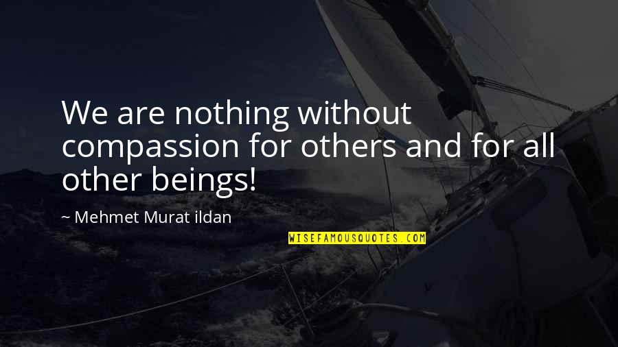 Blinded By Faith Quotes By Mehmet Murat Ildan: We are nothing without compassion for others and