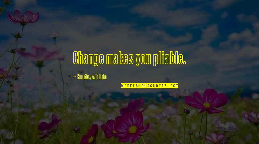 Blindirani Quotes By Sunday Adelaja: Change makes you pliable.
